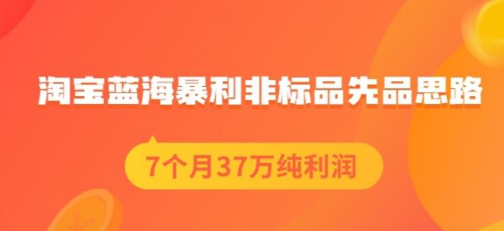 盗坤淘宝蓝海暴利非标品先品思路，7个月37万纯利润，压箱干货分享！【付费文章】-启创网