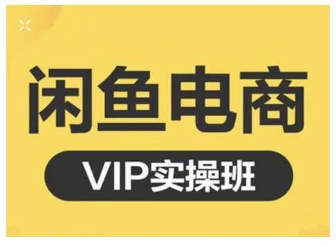 闲鱼电商零基础入门到进阶VIP实战课程，帮助你掌握闲鱼电商所需的各项技能-启创网