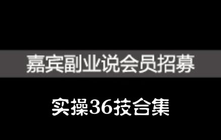 嘉宾副业说实操36技合集，价值1380元-启创网