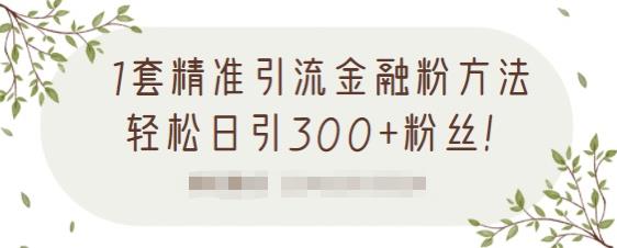 1套精准引流金融粉方法，轻松日引300 粉丝【视频课程】-启创网