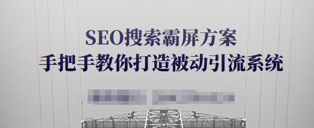 SEO搜索霸屏方案，手把手教你打造被动引流系统【视频课程】-启创网