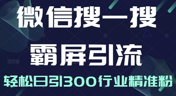 微信搜一搜霸屏引流课，打造被动精准引流系统，轻松日引300行业精准粉【无水印】-启创网