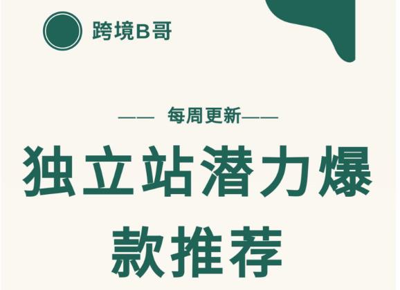 【跨境B哥】独立站潜力爆款选品推荐，测款出单率高达百分之80（每周更新）-启创网