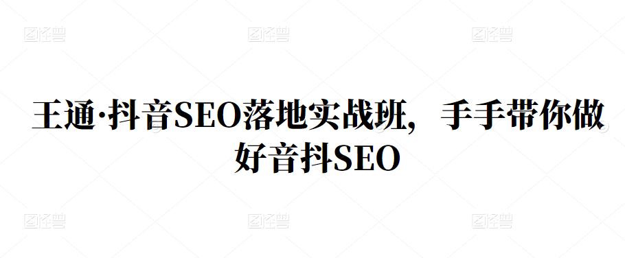 王通·抖音SEO落地实战班，手‬手带你做好音抖‬‬SEO-启创网