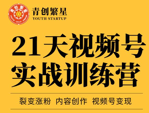 张萌21天视频号实战训练营，裂变涨粉、内容创作、视频号变现 价值298元-启创网