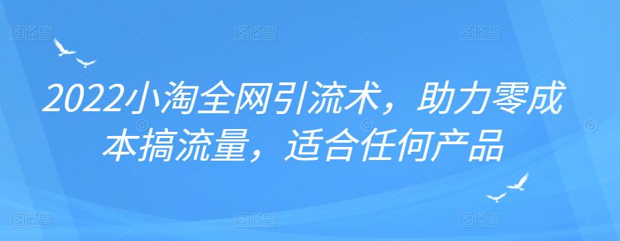 2022年小淘全网引流术，助力零成本搞流量，适合任何产品-启创网