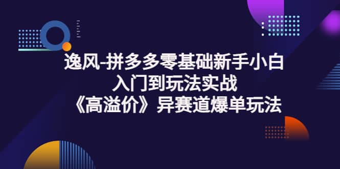 拼多多零基础新手小白入门到玩法实战《高溢价》异赛道爆单玩法实操课-启创网