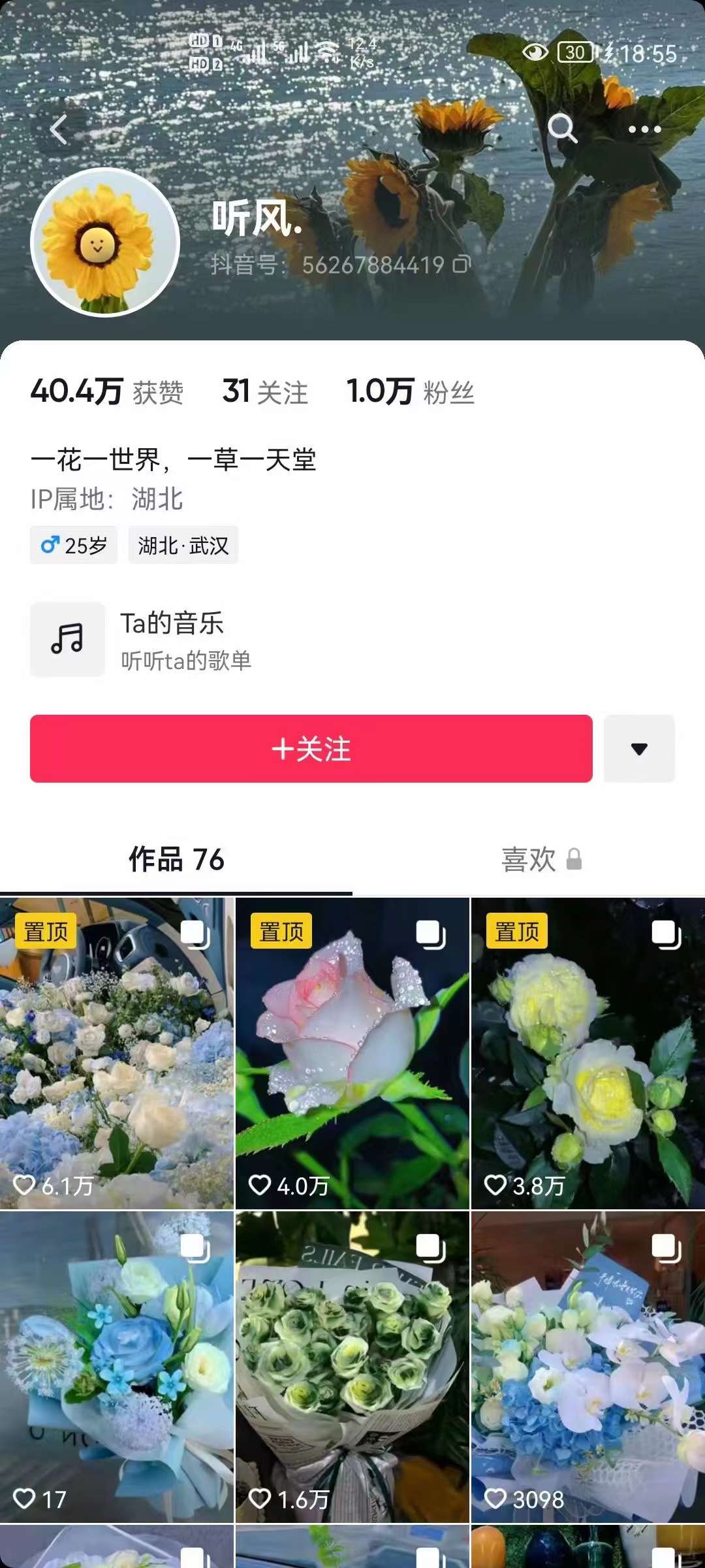 图片[2]-抖音壁纸变现项目：实战日入380 发布壁纸素材获取收益！-启创网