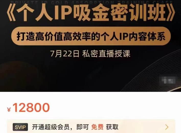 个人IP吸金密训班，打造高价值高效率的个人IP内容体系（价值12800元）-启创网