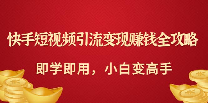 快手短视频引流变现赚钱全攻略：即学即用，小白变高手（价值980元）-启创网