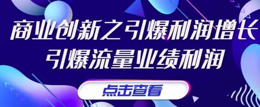 《商业创新之引爆利润增长》引爆流量业绩利润-启创网