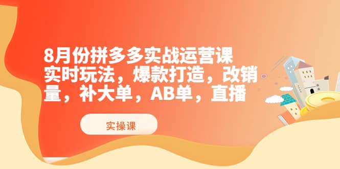 8月份拼多多实战运营课，实时玩法，爆款打造，改销量，补大单，AB单，直播-启创网