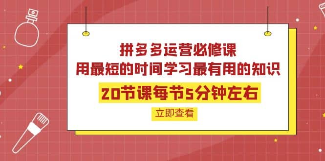 拼多多运营必修课：20节课每节5分钟左右，用最短的时间学习最有用的知识-启创网