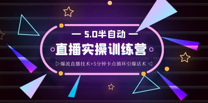 蚂蚁·5.0半自动直播2345打法，半自动爆流直播技术 5分钟卡点循环引爆话术-启创网