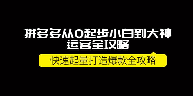 拼多多从0起步小白到大神运营全攻略-启创网