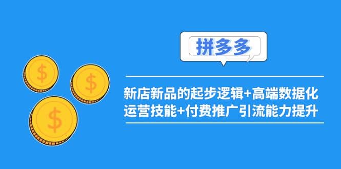 2022拼多多：新店新品的起步逻辑 高端数据化运营技能 付费推广引流能力提升-启创网