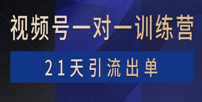 视频号训练营：带货，涨粉，直播，游戏，四大变现新方向，21天引流出单-启创网