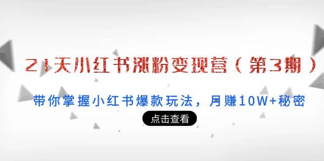 21天小红书涨粉变现营（第3期）：带你掌握小红书爆款玩法，月赚10W 秘密-启创网