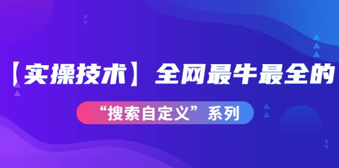 【实操技术】全网最牛最全的“搜索自定义”系列！价值698元-启创网