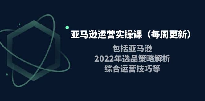 亚马逊运营实操课（每周更新）包括亚马逊2022选品策略解析，综合运营技巧等-启创网