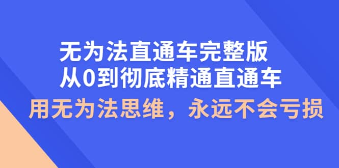 无为法直通车完整版：从0到彻底精通直通车，用无为法思维，永远不会亏损-启创网