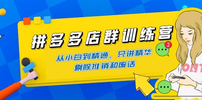 拼多多店群训练营：从小白到精通，只讲精华，剔除推销和废话-启创网