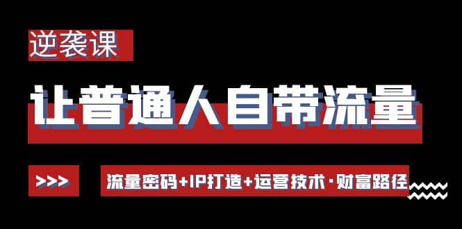 让普通人自带流量的逆袭课：流量密码 IP打造 运营技术·财富路径-启创网