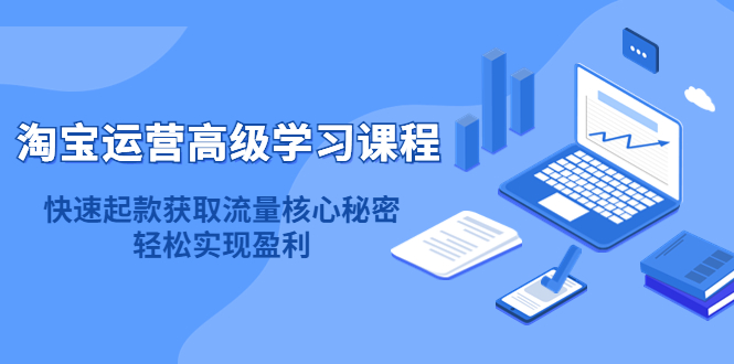 淘宝运营高级学习课程：快速获取流量核心秘密，轻松实现盈利！-启创网