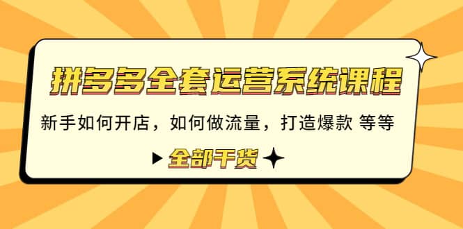 拼多多全套运营系统课程：新手如何开店 如何做流量 打造爆款 等等 全部干货-启创网