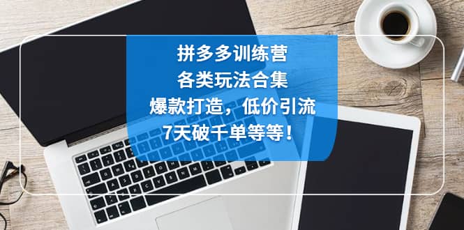 拼多多训练营：各玩法合集，爆款打造，低价引流，7天破千单等等-启创网