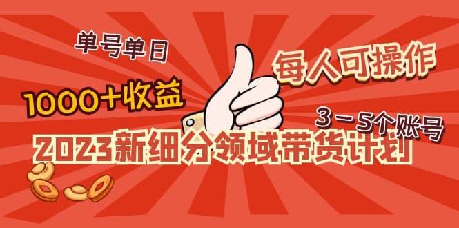 2023新细分领域带货计划：单号单日1000 收益不难，每人可操作3-5个账号-启创网