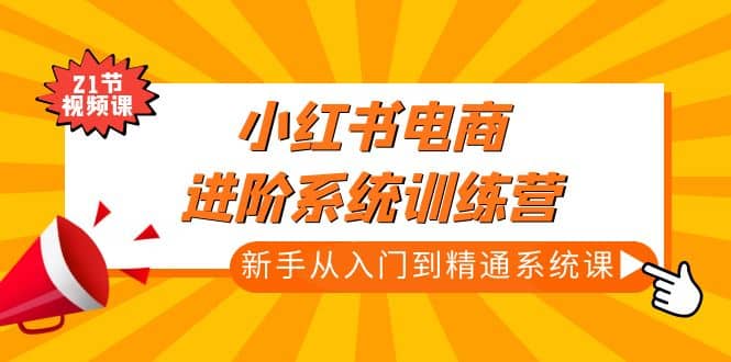 小红书电商进阶系统训练营：新手从入门到精通系统课（21节视频课）-启创网