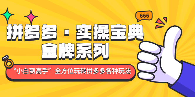 拼多多·实操宝典：金牌系列“小白到高手”带你全方位玩转拼多多各种玩法-启创网