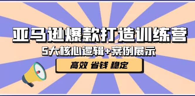 亚马逊爆款打造训练营：5大核心逻辑 案例展示 打造爆款链接 高效 省钱 稳定-启创网