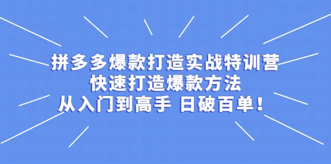 拼多多爆款打造实战特训营：快速打造爆款方法，从入门到高手 日破百单-启创网