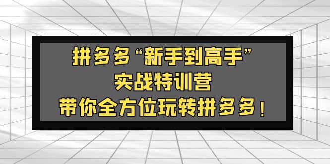 拼多多“新手到高手”实战特训营：带你全方位玩转拼多多-启创网