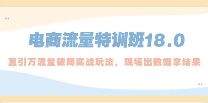 电商流量特训班18.0，直引万流量破局实操玩法，现场出数据拿结果-启创网