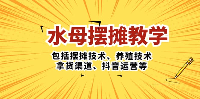 水母·摆摊教学，包括摆摊技术、养殖技术、拿货渠道、抖音运营等-启创网