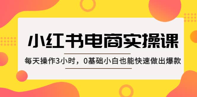 小红书·电商实操课：每天操作3小时，0基础小白也能快速做出爆款-启创网