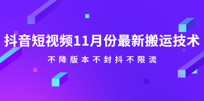 抖音短视频11月份最新搬运技术，不降版本不封抖不限流！【视频课程】-启创网