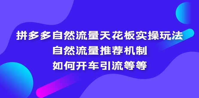 拼多多自然流量天花板实操玩法：自然流量推荐机制，如何开车引流等等-启创网