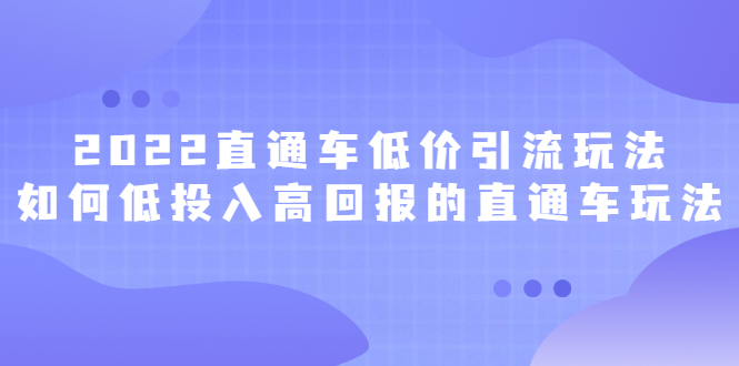 2022直通车低价引流玩法，教大家如何低投入高回报的直通车玩法-启创网