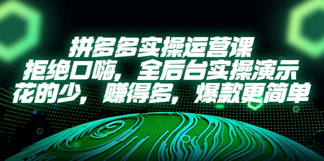 拼多多实操运营课：拒绝口嗨，全后台实操演示，花的少，赚得多，爆款更简单-启创网