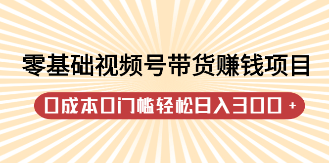 零基础视频号带货赚钱项目，0成本0门槛轻松日入300 【视频教程】-启创网