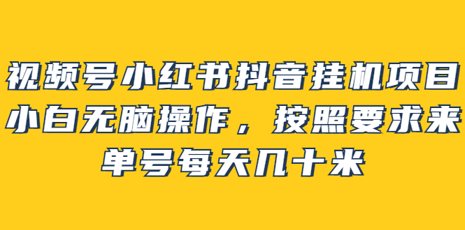 视频号小红书抖音挂机项目，小白无脑操作，按照要求来，单号每天几十米-启创网