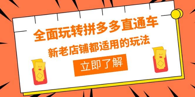 全面玩转拼多多直通车，新老店铺都适用的玩法（12节精华课）-启创网