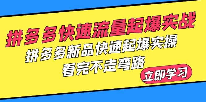 拼多多-快速流量起爆实战，拼多多新品快速起爆实操，看完不走弯路-启创网