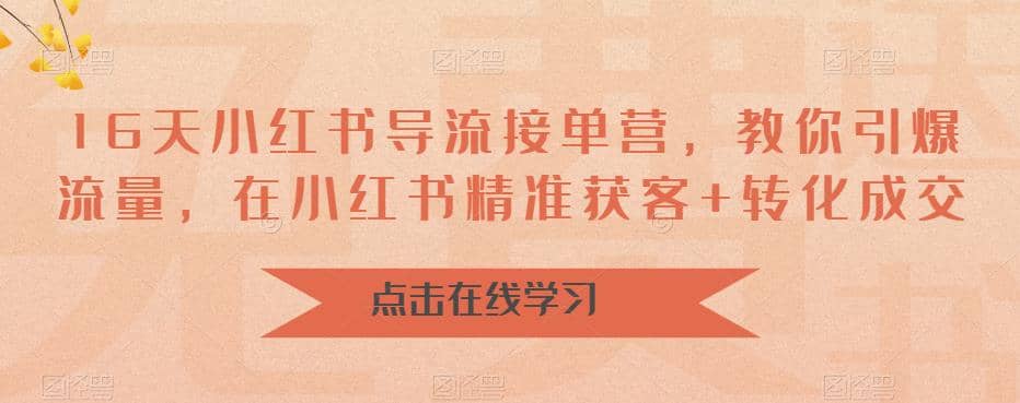 16天-小红书 导流接单营，教你引爆流量，在小红书精准获客 转化成交-启创网