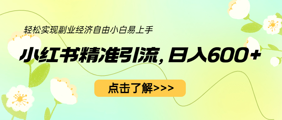 小红书精准引流，小白日入600 ，轻松实现副业经济自由（教程 1153G资源）-启创网