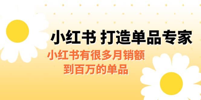 某公众号付费文章《小红书 打造单品专家》小红书有很多月销额到百万的单品-启创网